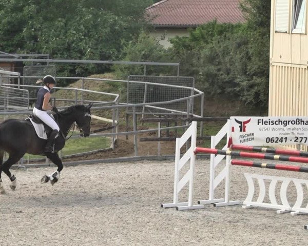 Reitturnier Worms-Pfeddersheim / Reitsportanlage Wittemer 2020