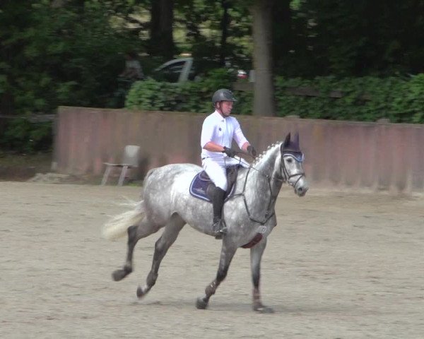Reitturnier Bonn-Rodderberg 2020