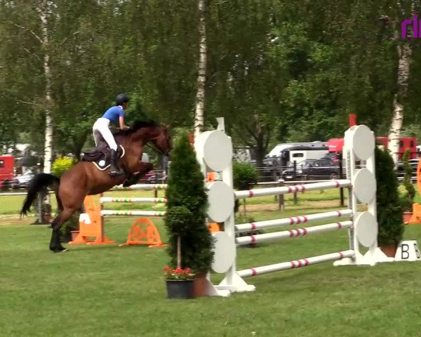 Reitturnier Hille 2020