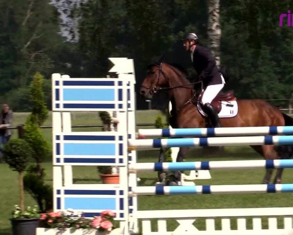 Reitturnier Hille 2020