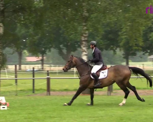 Reitturnier Hille 2020