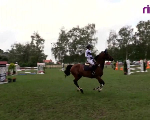 Reitturnier Hille 2020