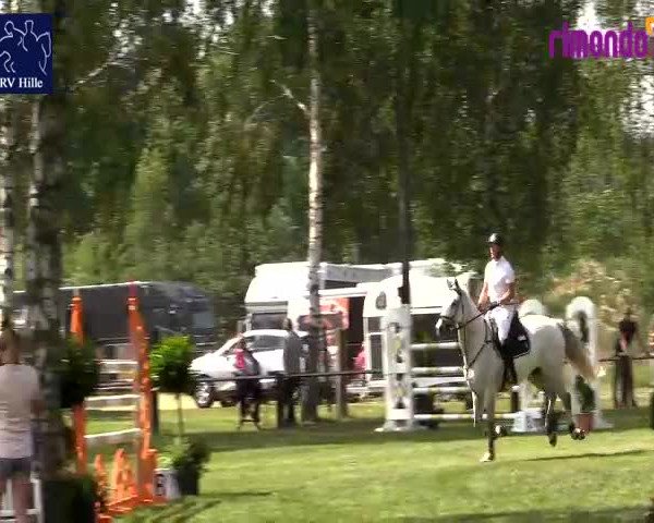 Reitturnier Hille 2020