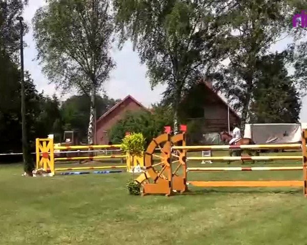 Reitturnier Hille 2020