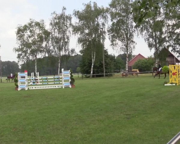 Reitturnier Hille 2020