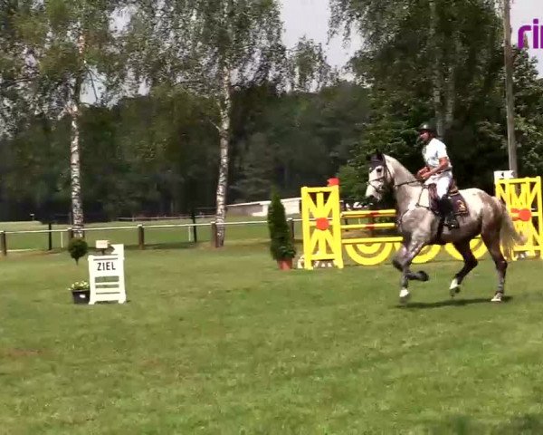 Reitturnier Hille 2020