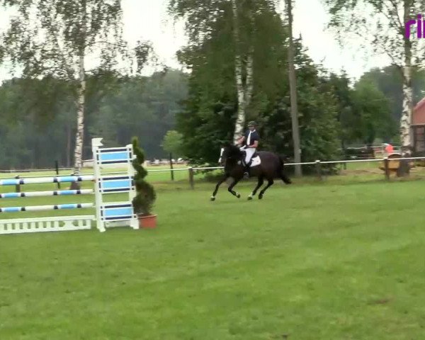 Reitturnier Hille 2020