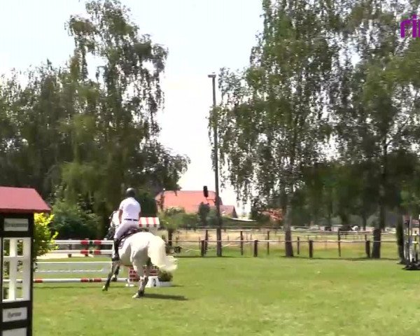 Reitturnier Hille 2020