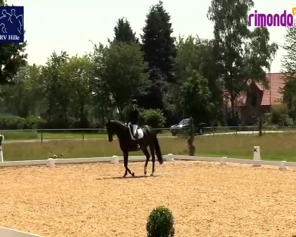 Reitturnier Hille 2020