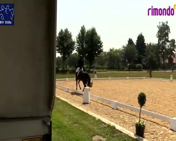 Reitturnier Hille 2020