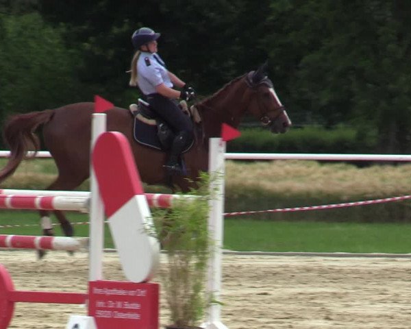 Reitturnier Ostenfelde-Vornholz 2020