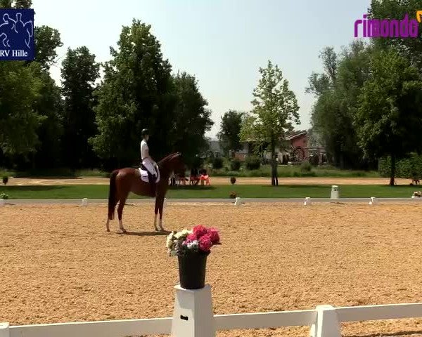 Reitturnier Hille 2020