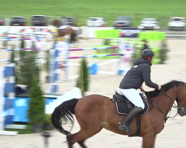 Reitturnier Galgenen 2020
