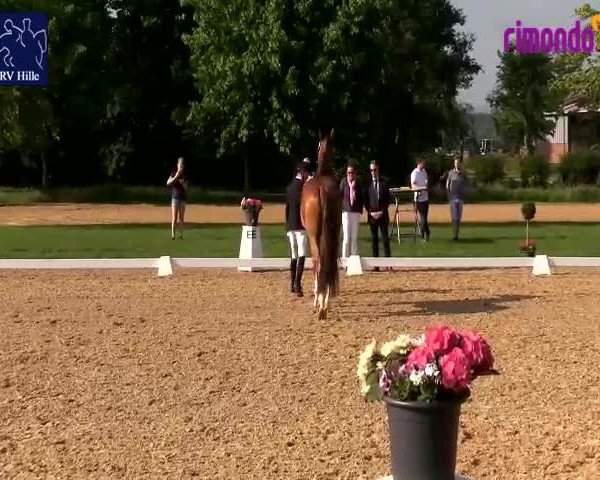 Reitturnier Hille 2020