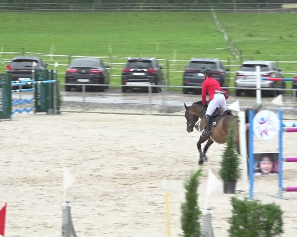 Reitturnier Galgenen 2020