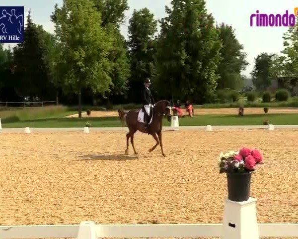 Reitturnier Hille 2020