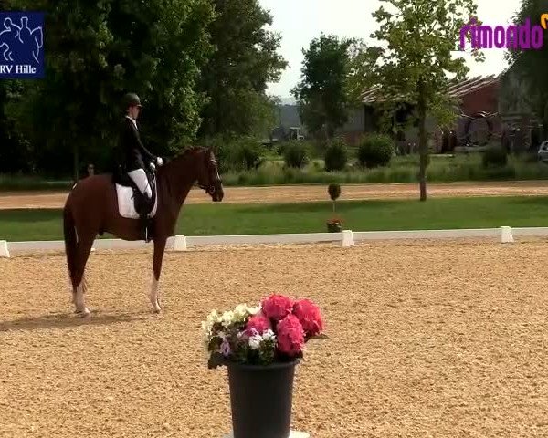 Reitturnier Hille 2020