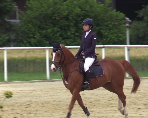 Reitturnier Ostenfelde-Vornholz 2020