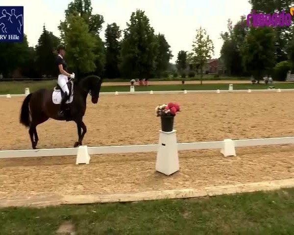 Reitturnier Hille 2020