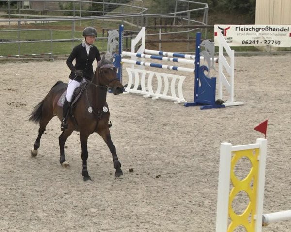 Reitturnier Worms-Pfeddersheim / Reitsportanlage Wittemer 2020