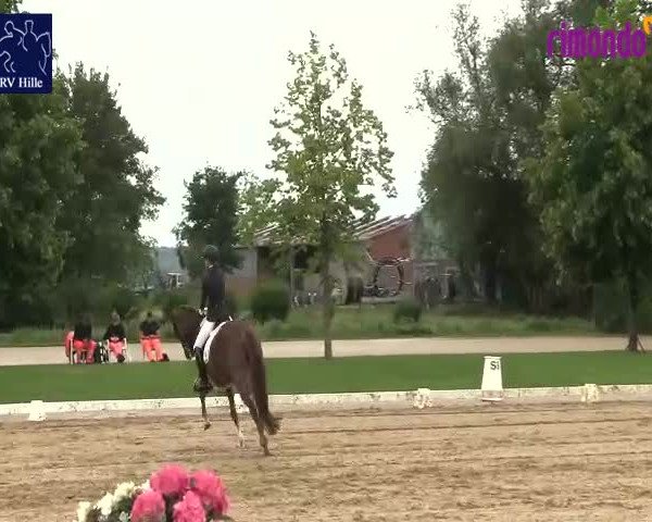 Reitturnier Hille 2020