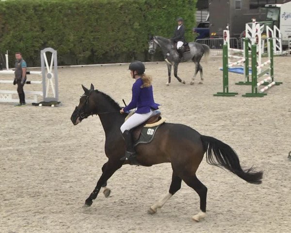 Reitturnier Worms-Pfeddersheim / Reitsportanlage Wittemer 2020