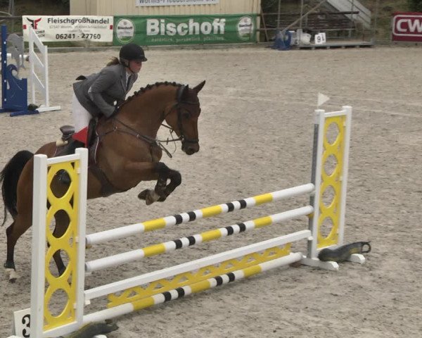 Reitturnier Worms-Pfeddersheim / Reitsportanlage Wittemer 2020