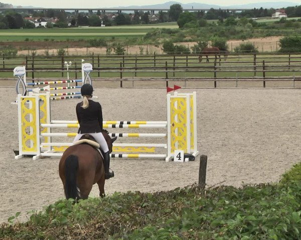 Reitturnier Worms-Pfeddersheim / Reitsportanlage Wittemer 2020