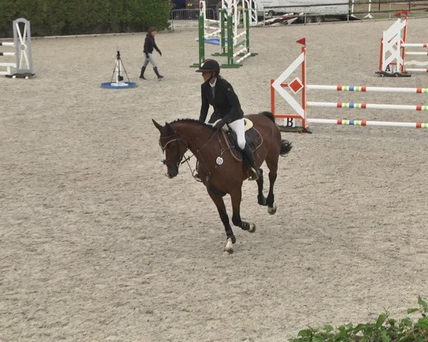 Reitturnier Worms-Pfeddersheim / Reitsportanlage Wittemer 2020