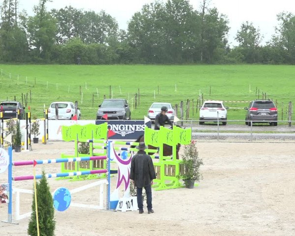 Reitturnier Galgenen 2020