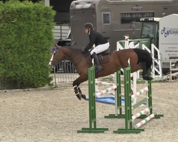 Reitturnier Worms-Pfeddersheim / Reitsportanlage Wittemer 2020