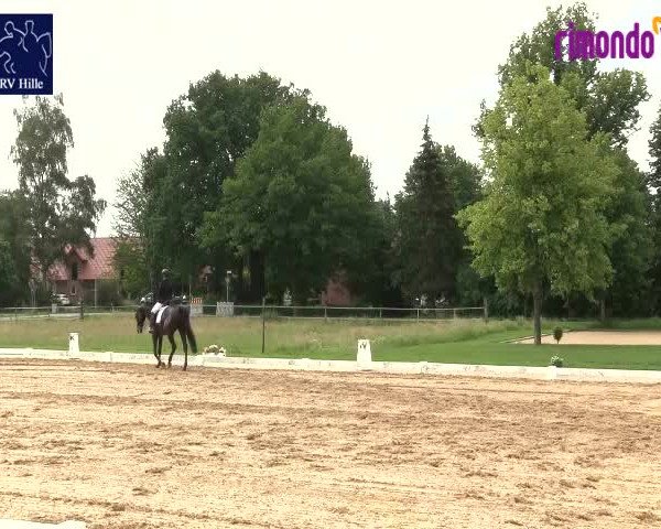 Reitturnier Hille 2020