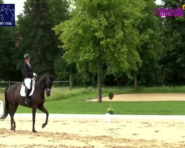 Reitturnier Hille 2020