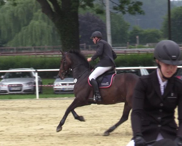 Reitturnier Ostenfelde-Vornholz 2020