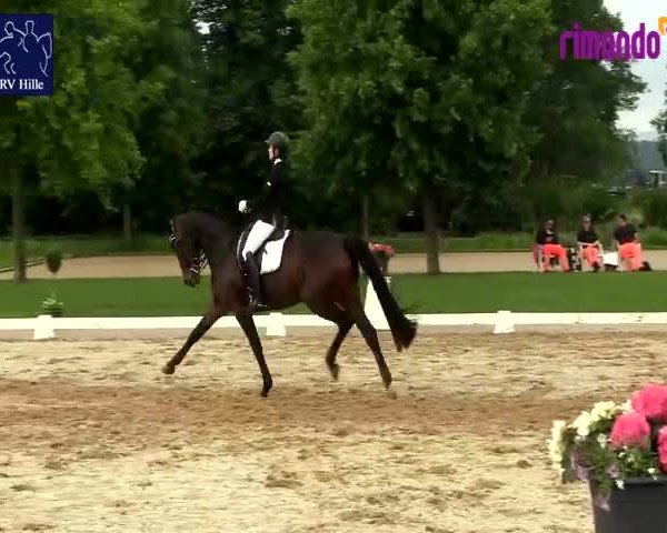 Reitturnier Hille 2020