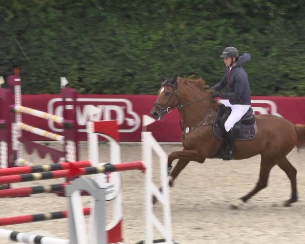 Reitturnier Worms-Pfeddersheim / Reitsportanlage Wittemer 2020