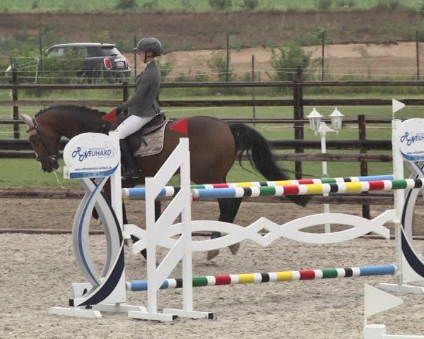 Reitturnier Worms-Pfeddersheim / Reitsportanlage Wittemer 2020