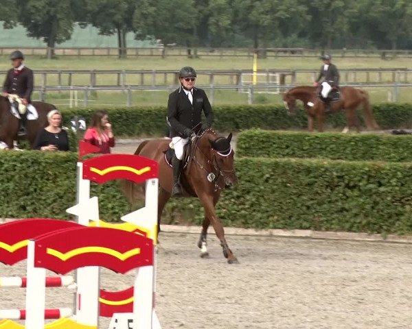 Reitturnier Neustadt/Dosse 2020