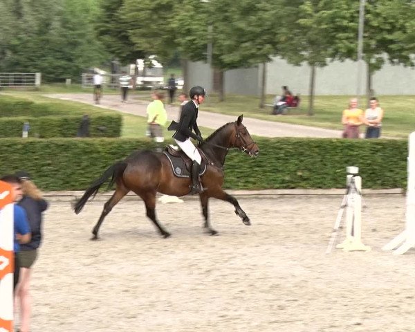 Reitturnier Neustadt/Dosse 2020