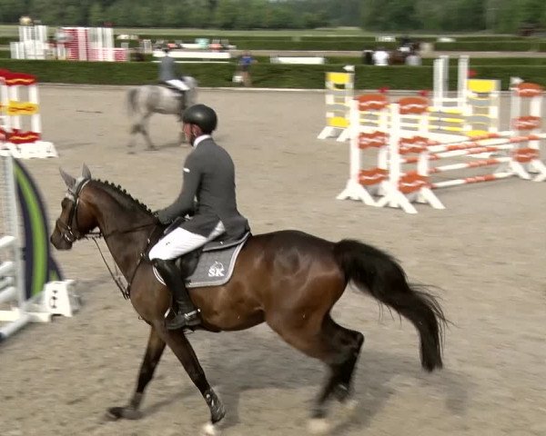 Reitturnier Neustadt/Dosse 2020