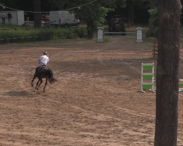 Reitturnier Calvörde 2020