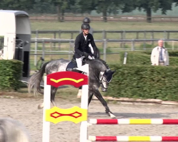 Reitturnier Neustadt/Dosse 2020