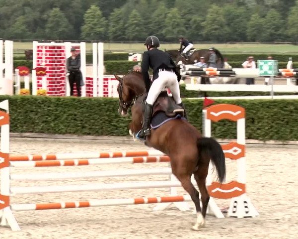Reitturnier Neustadt/Dosse 2020