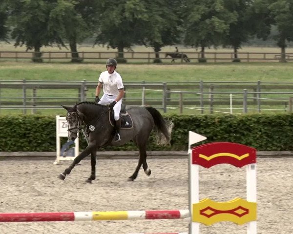 Reitturnier Neustadt/Dosse 2020