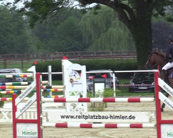 Reitturnier Ostenfelde-Vornholz 2020