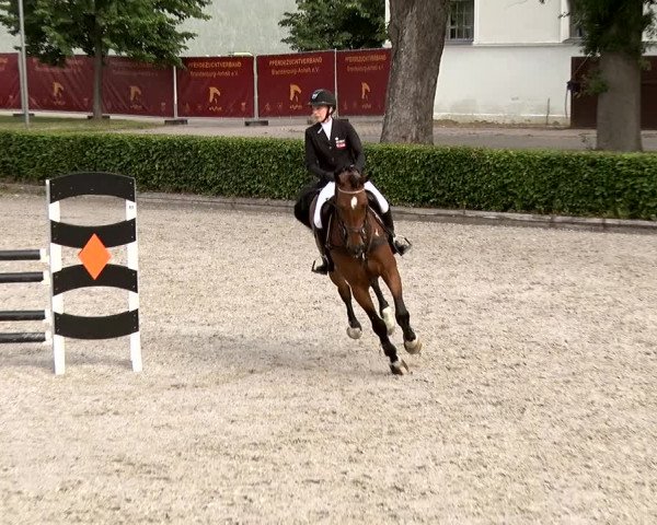 Reitturnier Neustadt/Dosse 2020