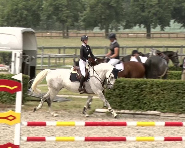 Reitturnier Neustadt/Dosse 2020