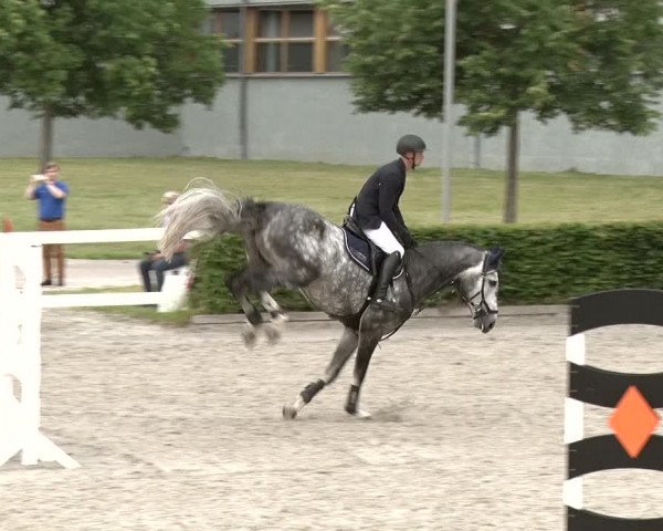 Reitturnier Neustadt/Dosse 2020