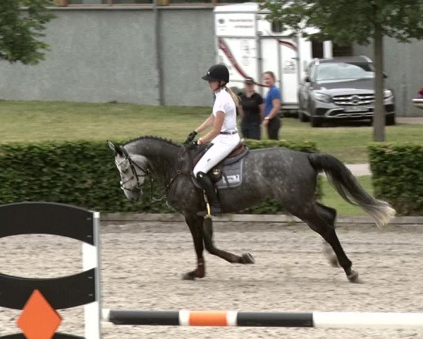 Reitturnier Neustadt/Dosse 2020