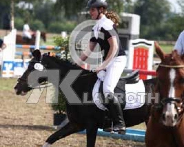 dressage horse Bonny 208 (Welsh-Pony (Section B), 1996, from Fydlyn Trysor)